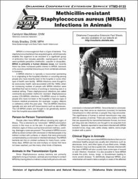 Methicillin-resistant Staphylococcus aureus (MRSA) infections in animals